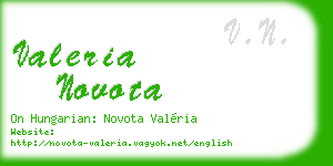 valeria novota business card
